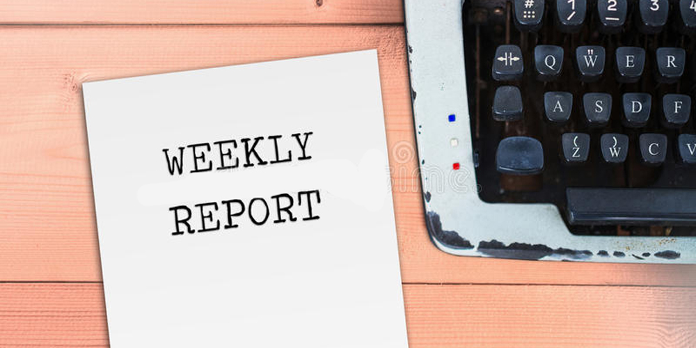 گزارش هفته سوم دی ماه پایه چهارم